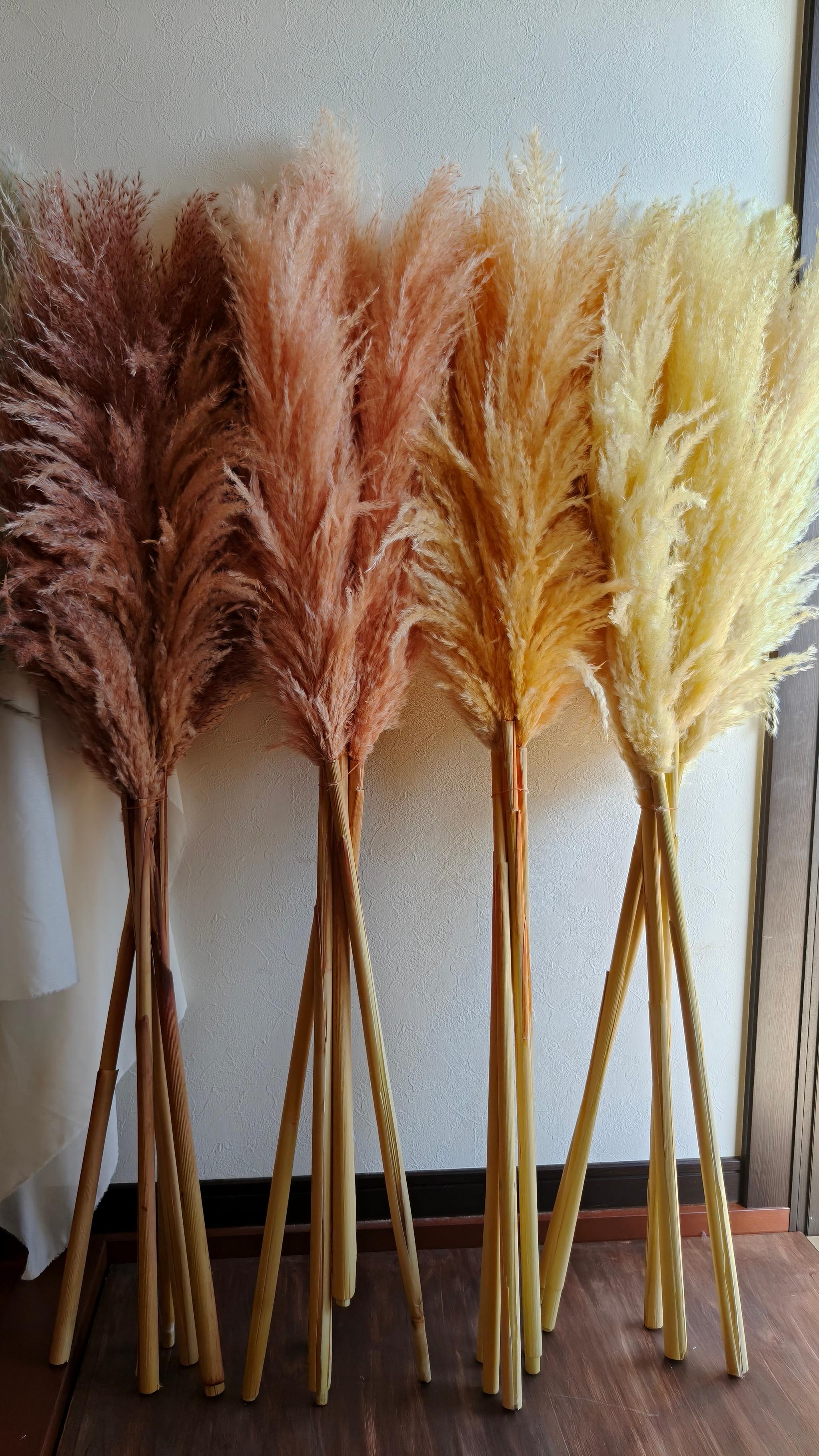 今季！暖色系の秋冬パンパスグラス  新築祝いドライフラワー インテリア ウェディング　即納クリスマス2025 | 11枚目